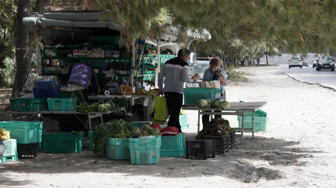 Il-Qorti tiċħad kawża tal-pitkala kontra l-Ministeru tal-Agrikoltura