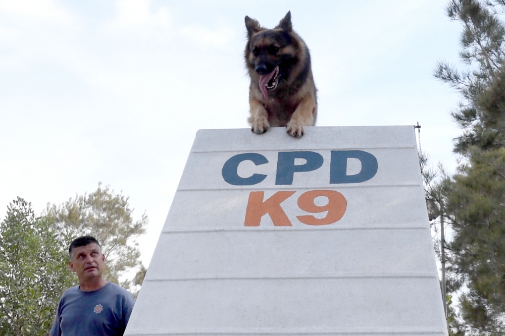 L-Unità tal-klieb tas-CPD tgħin fit-tfittxija u s-salvataġġ | Ritratt ta' Chris Mangion