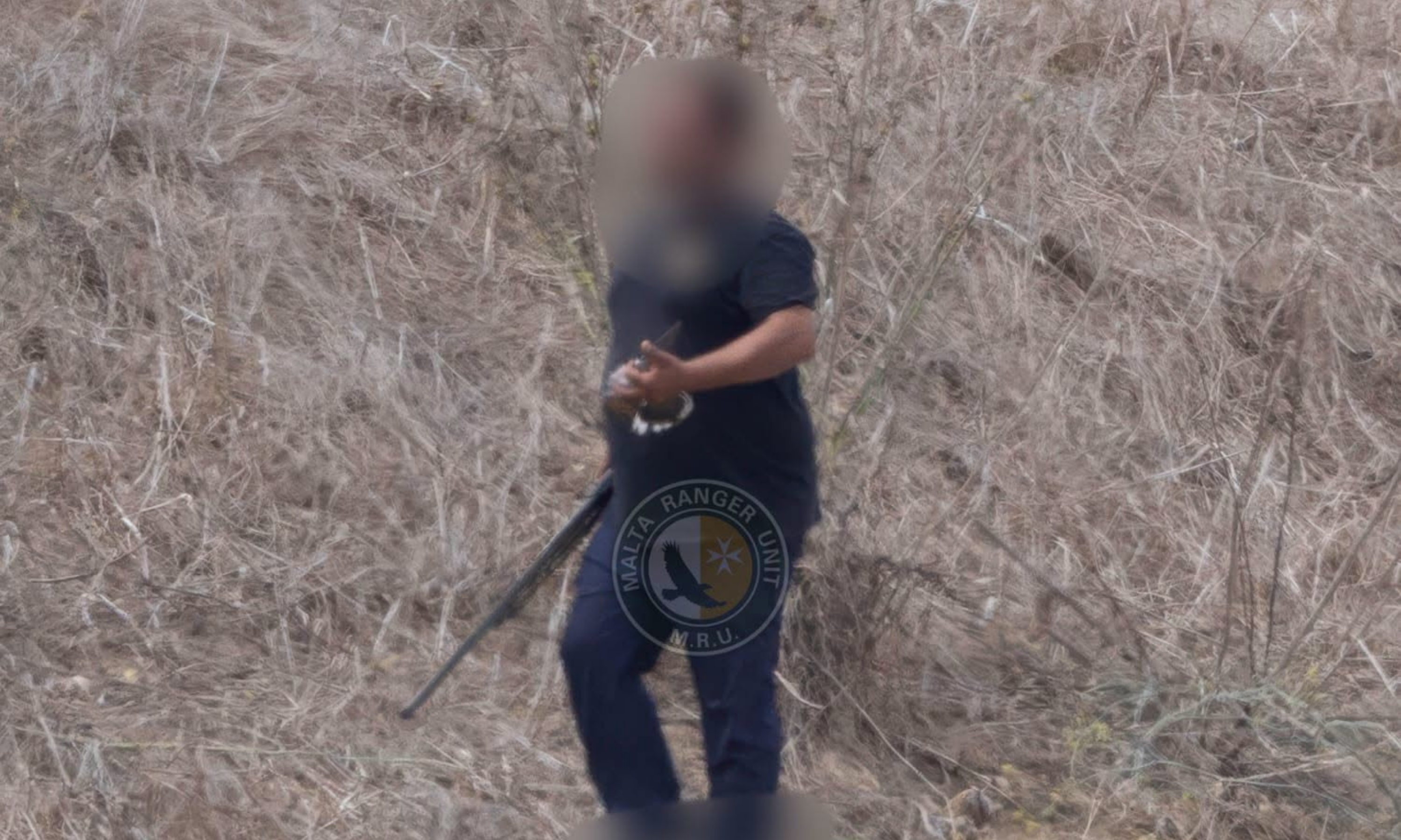 Kaċċatur jinqabad jispara fuq gamima erba’ sigħat wara li ngħalaq l-istaġun