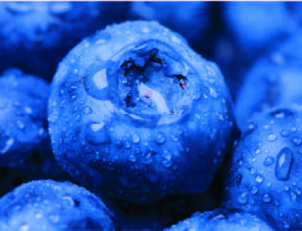 Il-blueberry