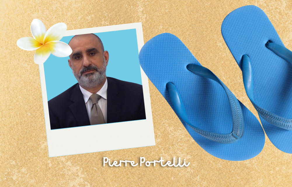 Pierre Portelli jistaqsi aktar dwar il-mudell finanzjarju ta' dan il-programm