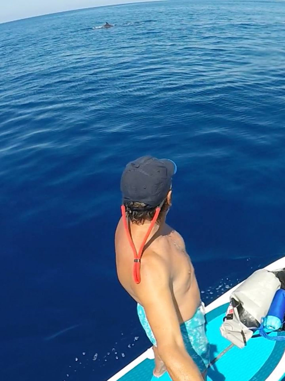 Id-dniefel taw spettaklu lil dawk li kienu qed jipprattikaw l-isports fuq il-baħar