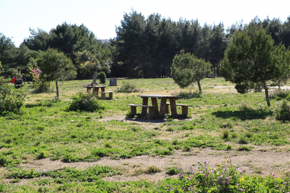Ta’ Qali - wieħed mill-ftit postijiet li joffru spazju miftuħ