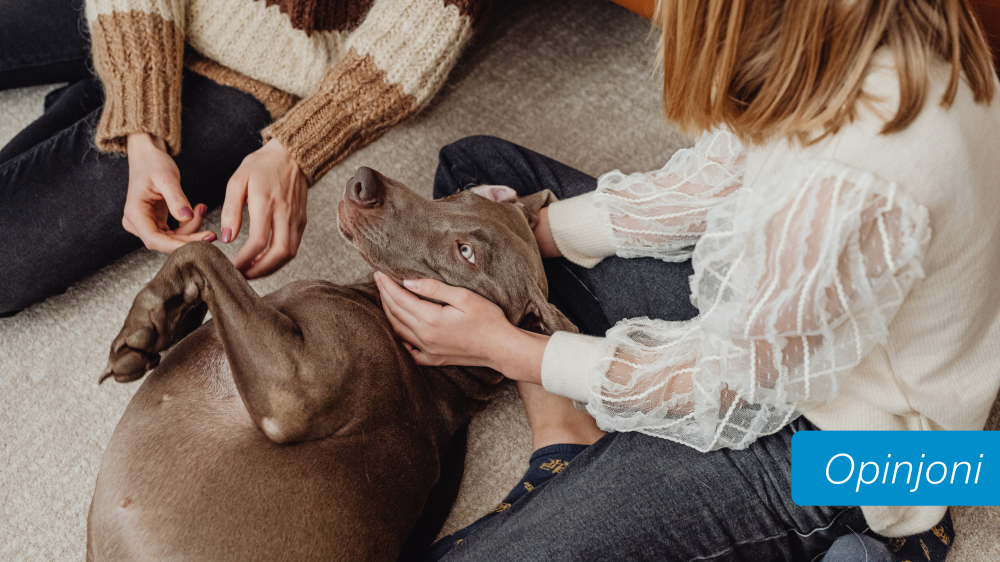 Kif l-annimali domestiċi jgħinu jegħlbu s-solitudni