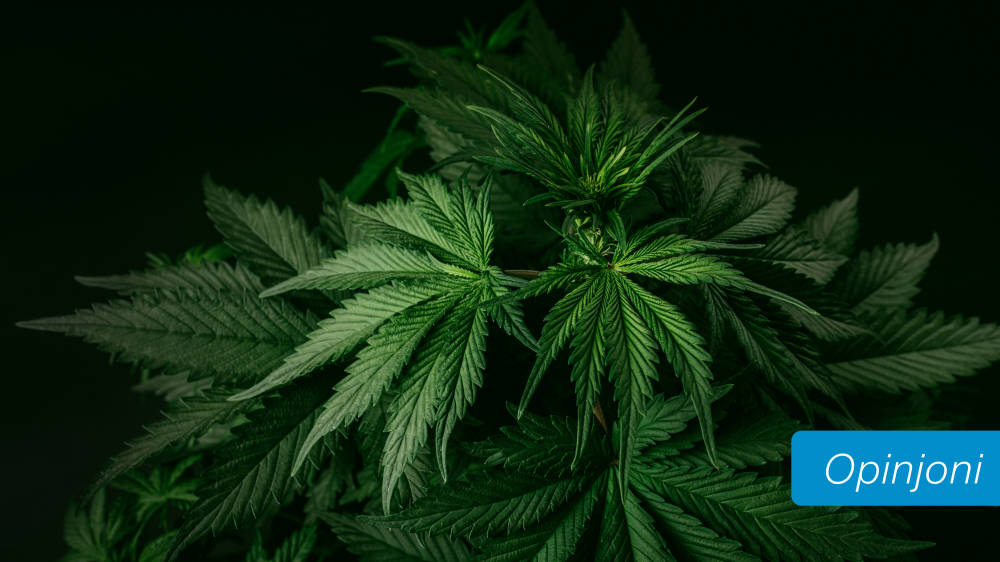 Joey Reno Vella | Riżultati bbażati fuq il-fatti: riforma li qed taħdem