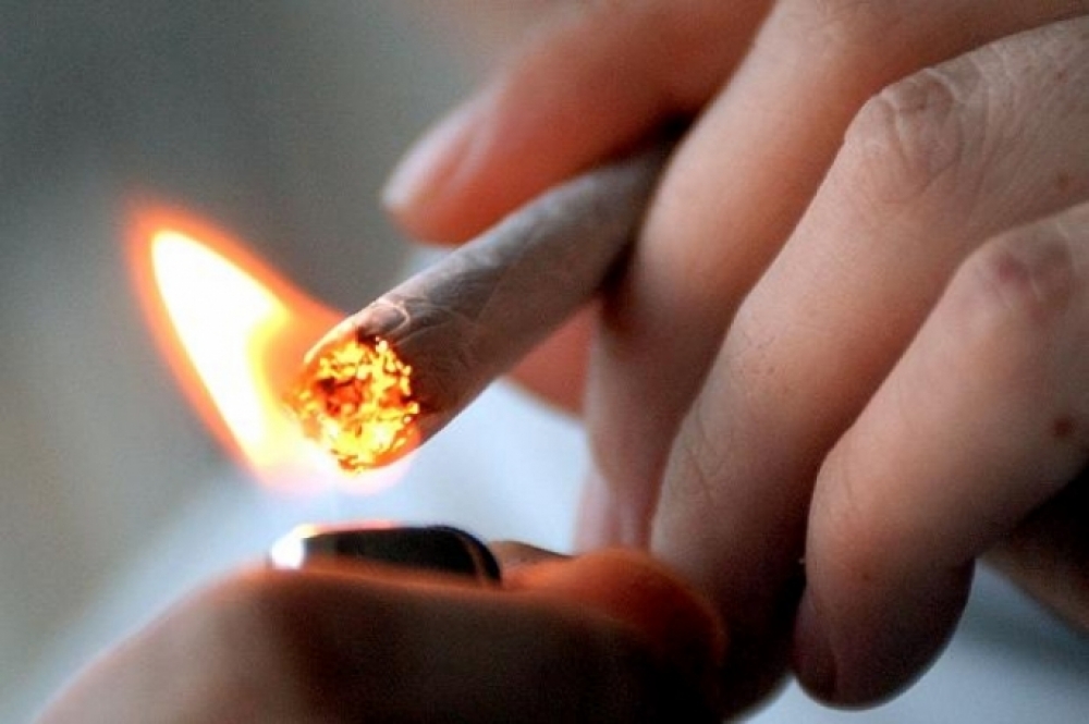“Regħba għall-flus!” — Akkużi lejn Cannabis Harm Reduction Associations