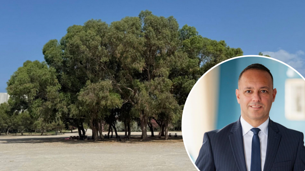 PN jgħid it-tqegħid taż-żrar ma' kienx approvat mill-Awtorità tal-Ippjanar