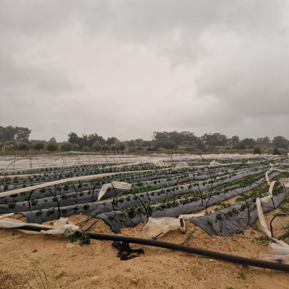 Ċiklun wieħed, realtà fost il-bdiewa li ma nistgħux nibqgħu ninjoraw