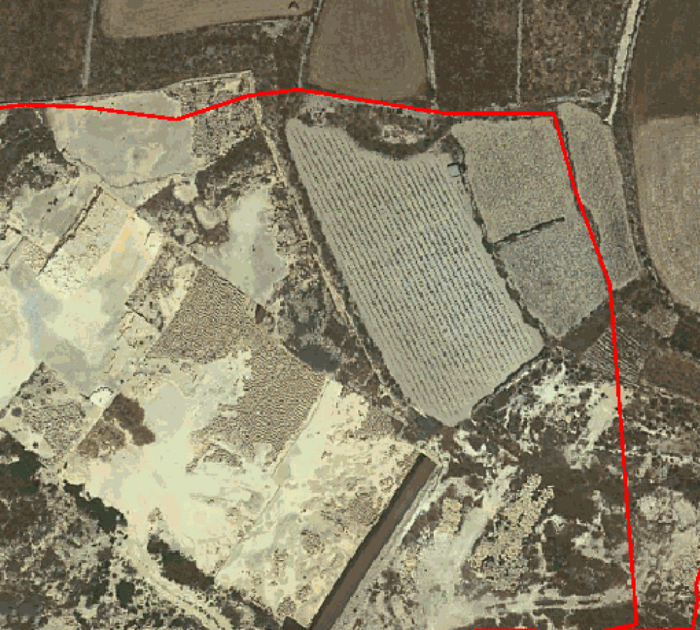 Ritratt mis-sit tal-PA juri ċar illi għelieqi fl-2012 saru trab fl-2016
