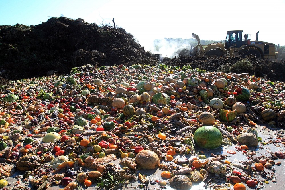 Gvern li poġġa l-Food Waste fuq l-aġenda nazzjonali