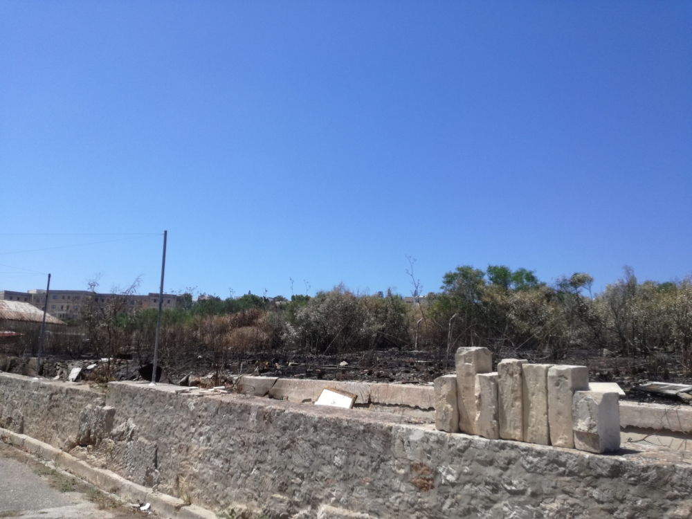 Iż-żona fejn jidher ċar il-ħaxix maħruq