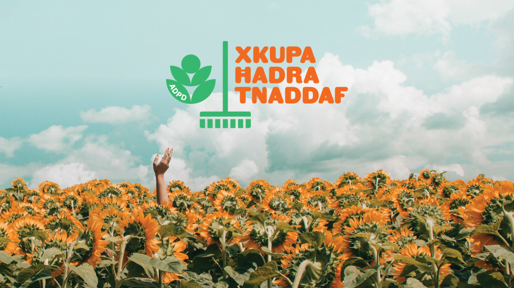 'Xkupa ħadra tnaddaf'