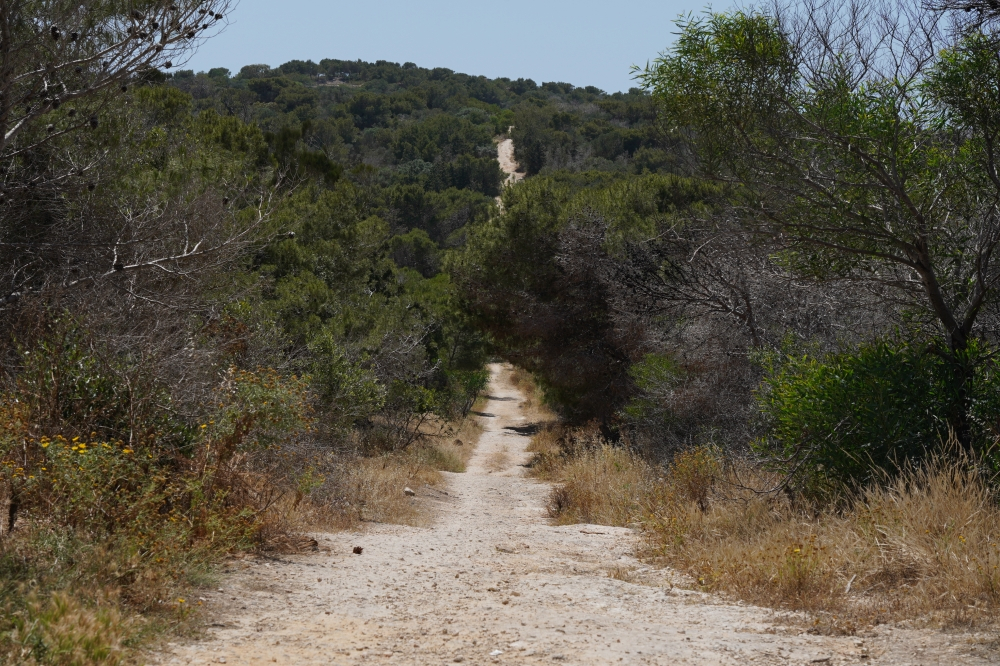 Operatur tal-Aħrax akkużat b’okkupazzjoni illegali