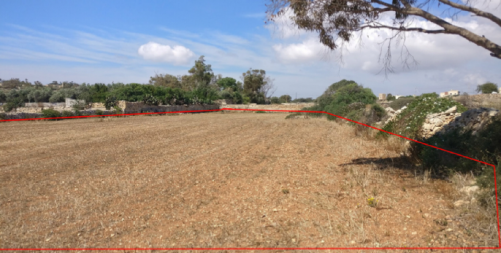 L-art in kwistjoni f'Wied il-Għajn