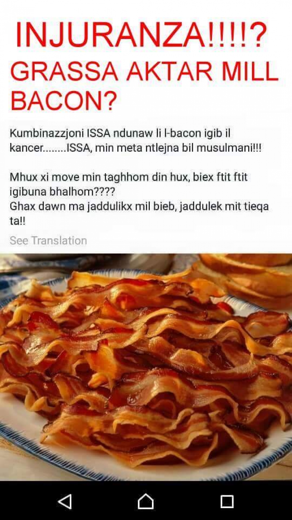 Il-bacon u l-