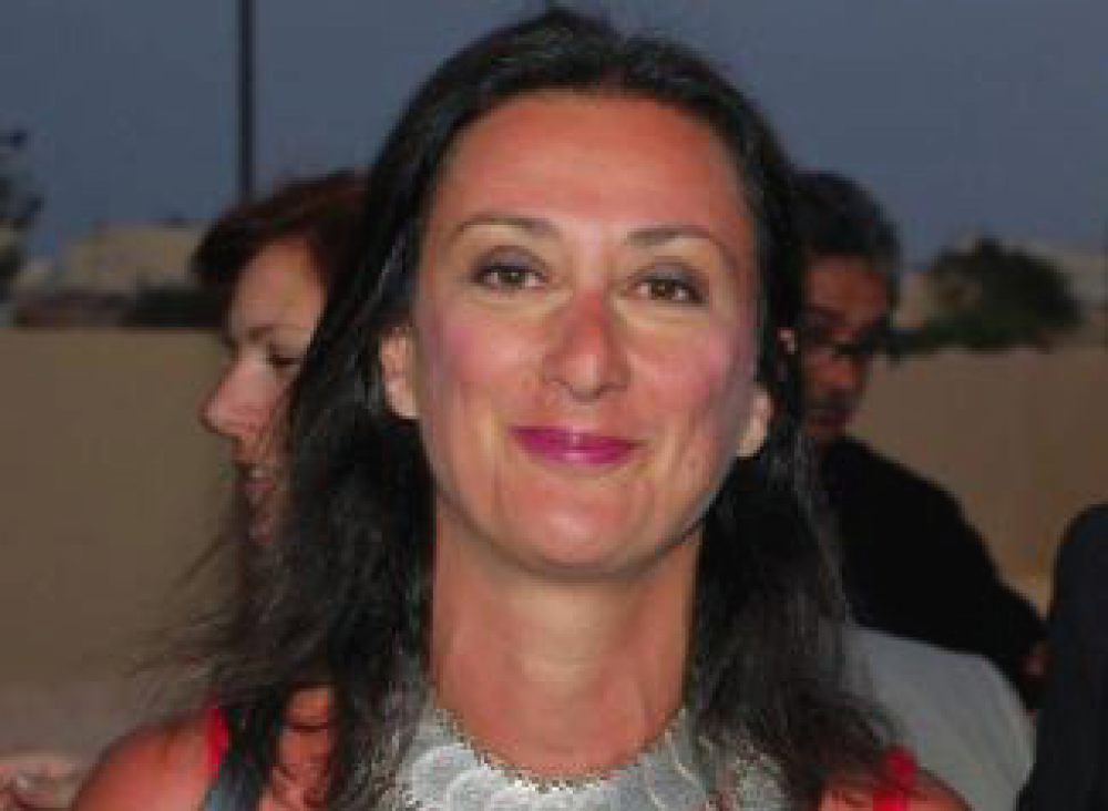 Ritratt sabiħ tal-porta voce tal-Pinne