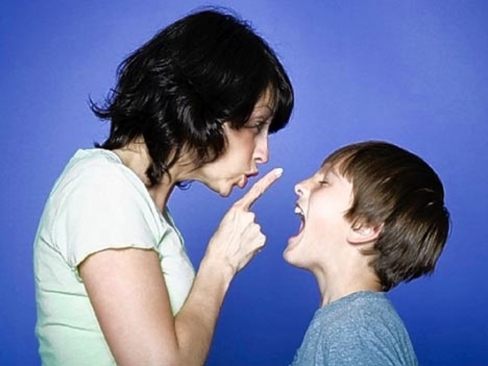 Ġie żviluppat ukoll programm ta' parenting skills