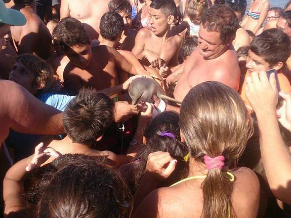 Inġabru u qagħdu jieħdu ritratti fuq bajja fl-Arġentina