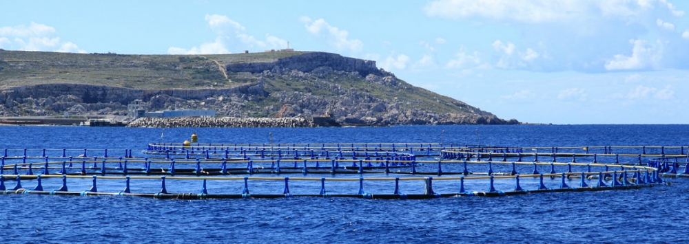 L-AD tfaħħar ir-revokata tal-permessi ta' erba' fish farms
