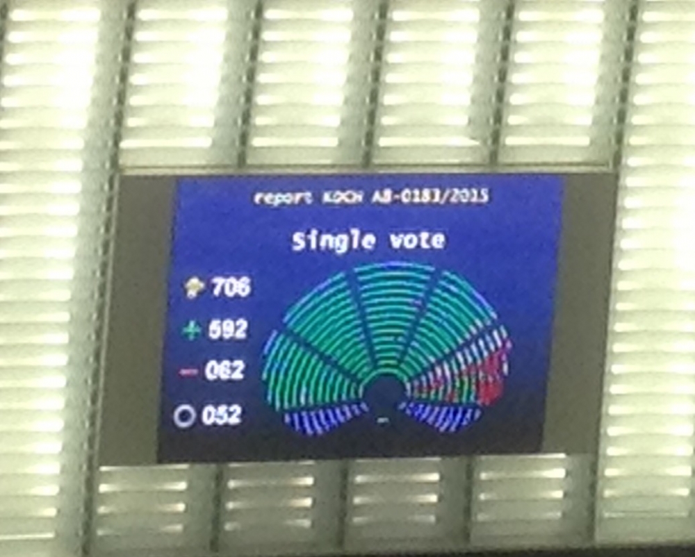 ir-riżultat tal-vot dwar biljett integrat
