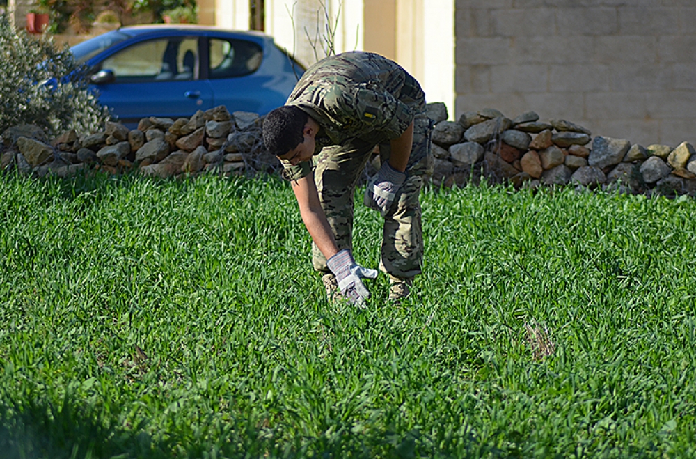 Suldati mill-EOD jfittxu f'għalqa fuq in-naħa l-oħra tat-triq għal biċċiet li setgħu taru.  Ritratt John Pisani 