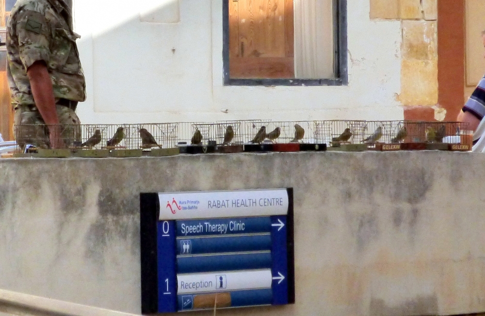 Ritratt mehud mill-CABS juri l-bejgħ illegali ta' Sponsuni fir-Rabat