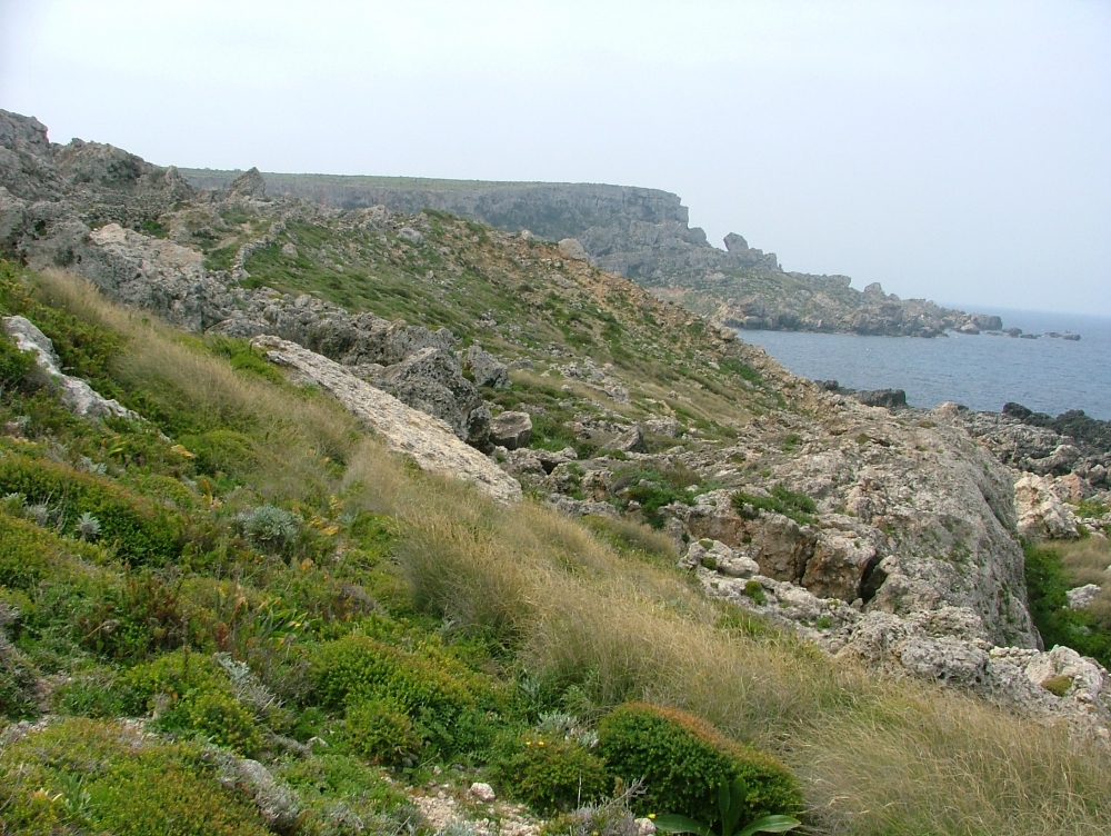 Il-Park se jkompli jingħata importanza mill-gvern