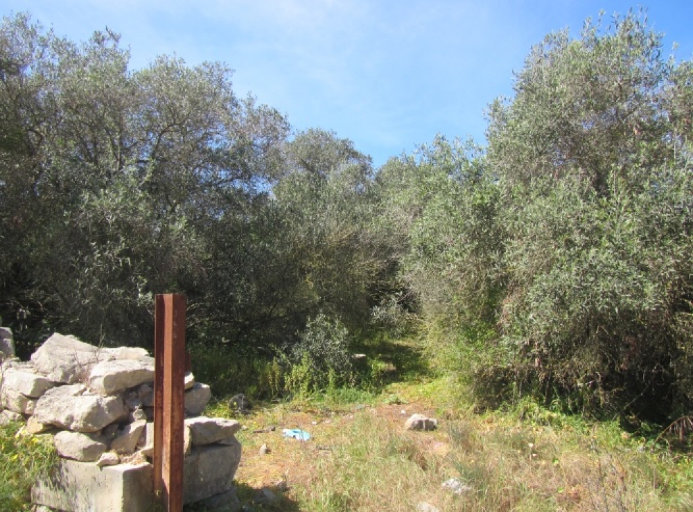 Ħas-Saptan