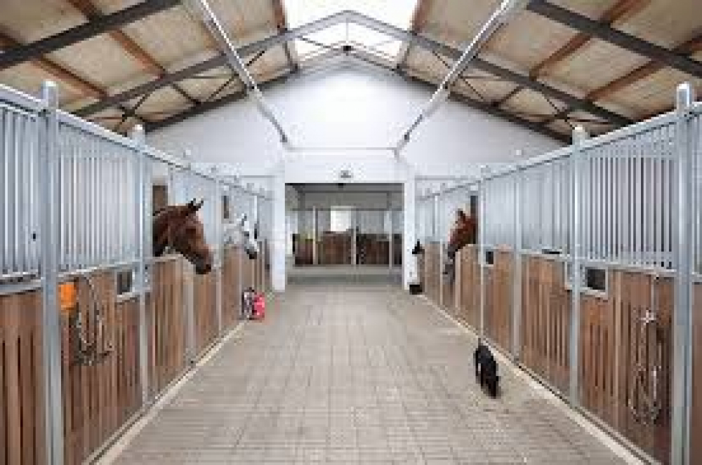 Baġit 2026 | Emergenza għall-annimali b’xejn