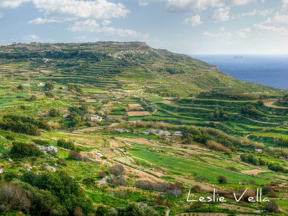 Il-ġmiel tal-Imtaħleb, iż-żona proposta għal masġar kbir | Ritratt : Leslie Vella