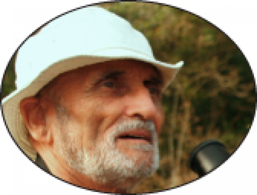 Joe Sultana