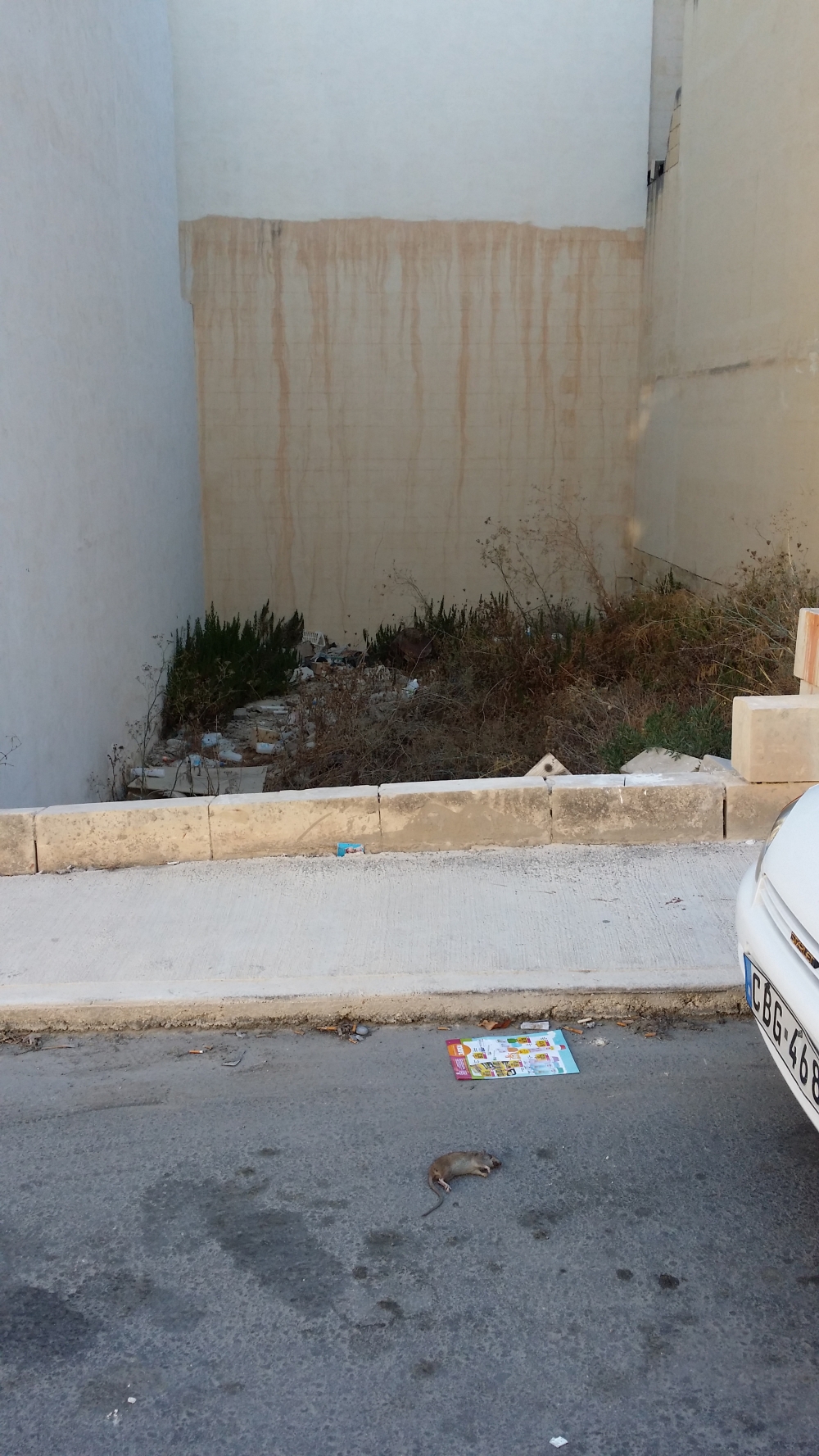 Anke ġrieden inġemgħu fiż-żona