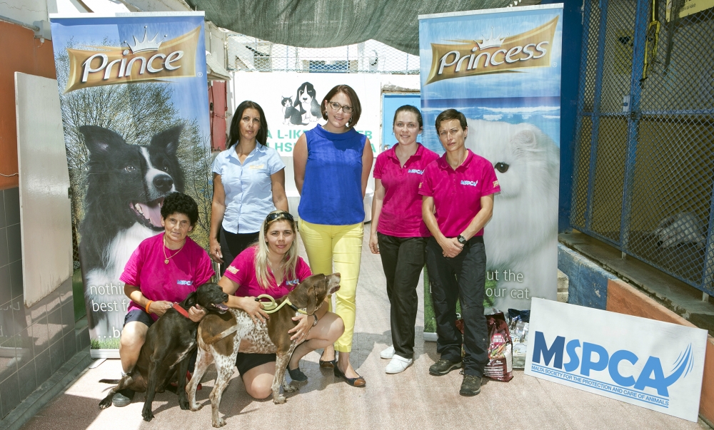 Ikel aħjar għall-klieb tal-MSPCA grazzi għal sponsor ġdid