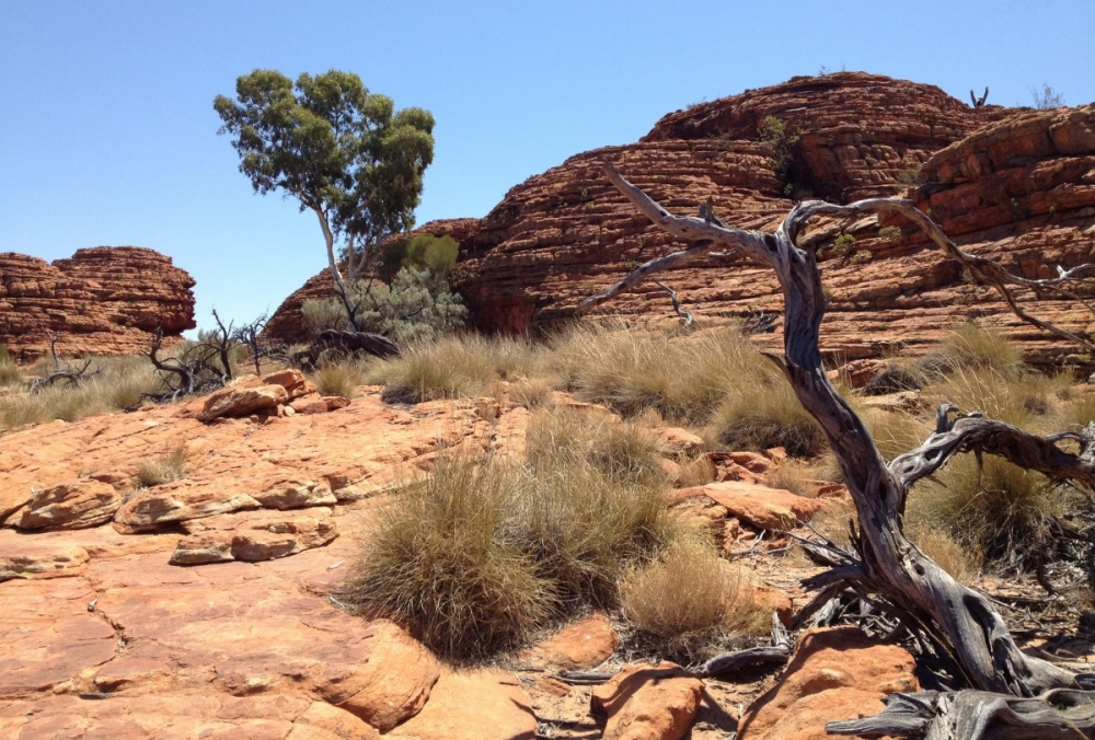 L-Outback tal-Awstralja
