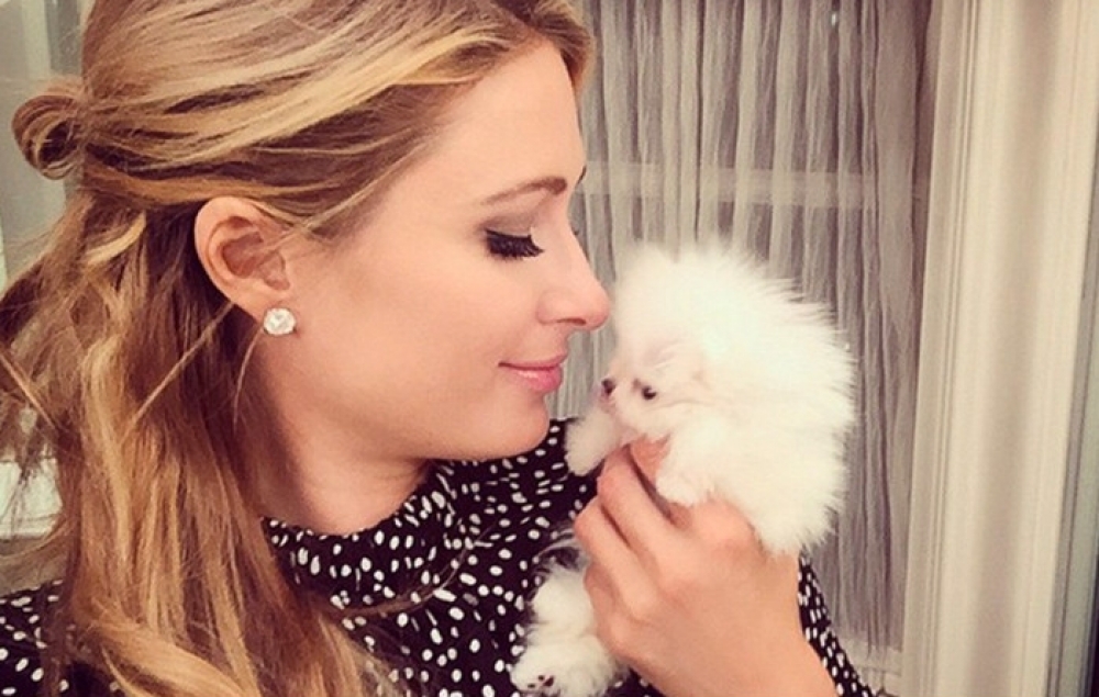 Paris Hilton mal-ġerwa l-ġdida tagħha