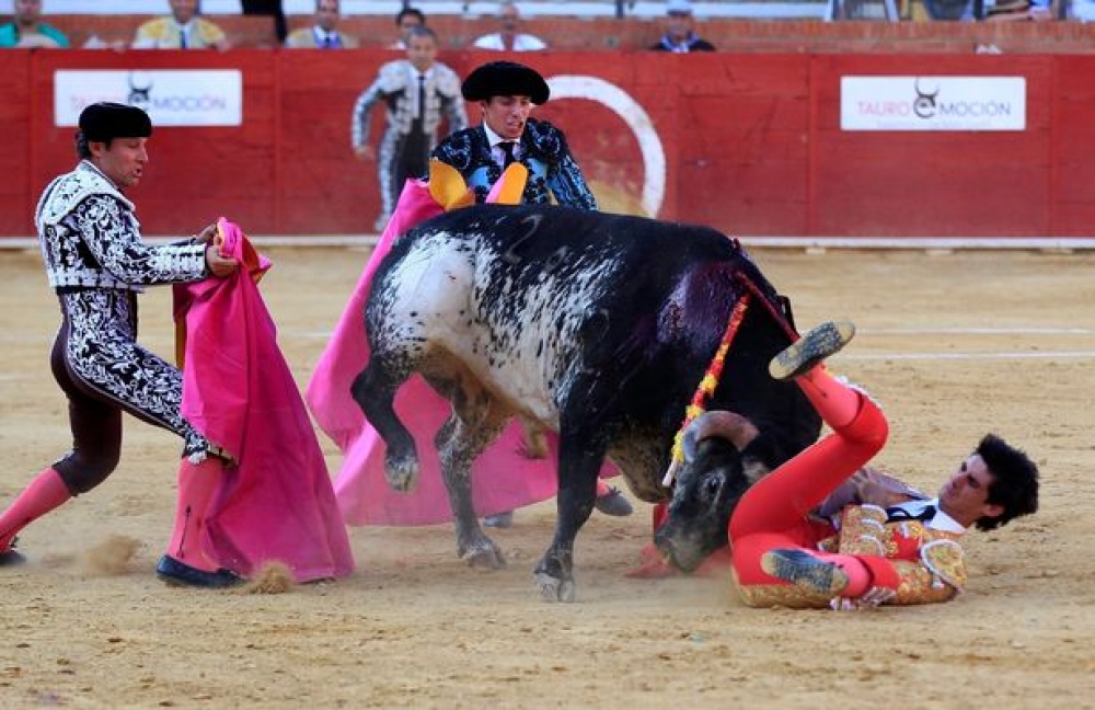 Toru jniffed sider il-Matador Victor Barrio