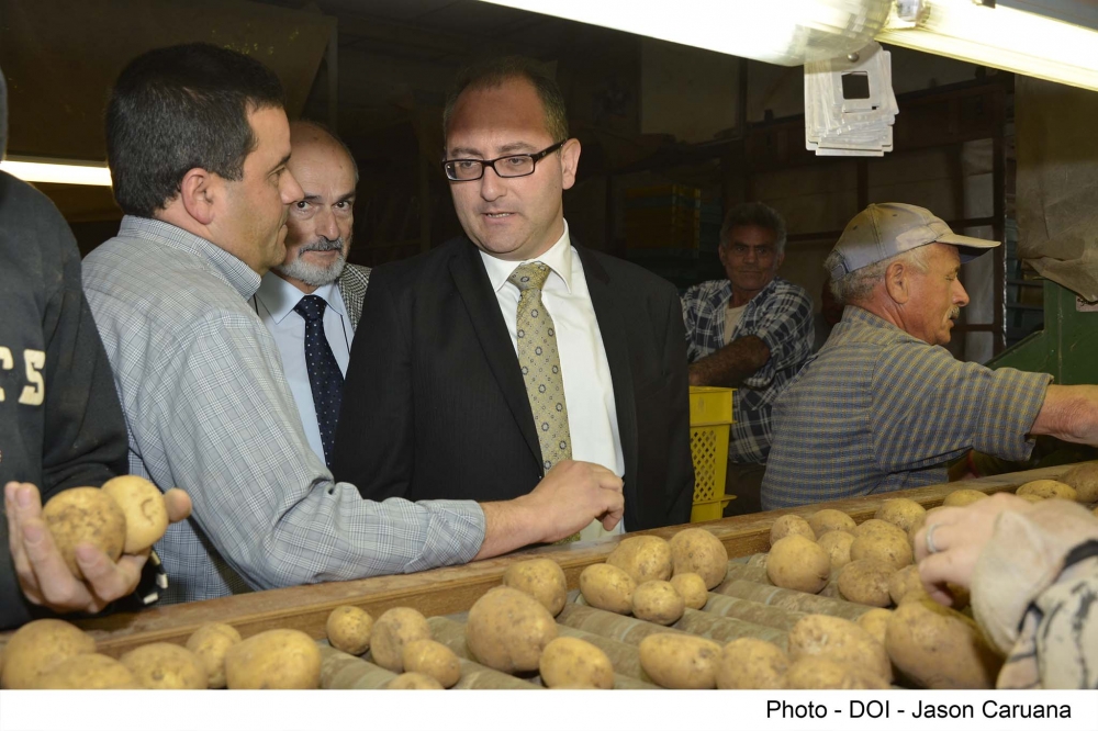Il-bdiewa u l-esportaturi għarfu jsibu swieq ġodda
