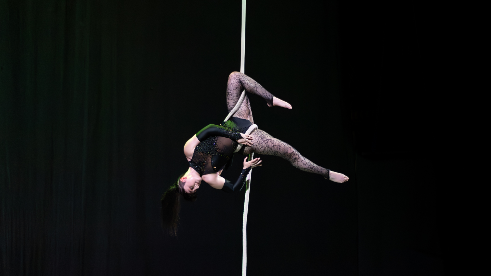 L-arti akrobatika fl-ajru: il-popolarità ta’ dan l-isport f’Malta