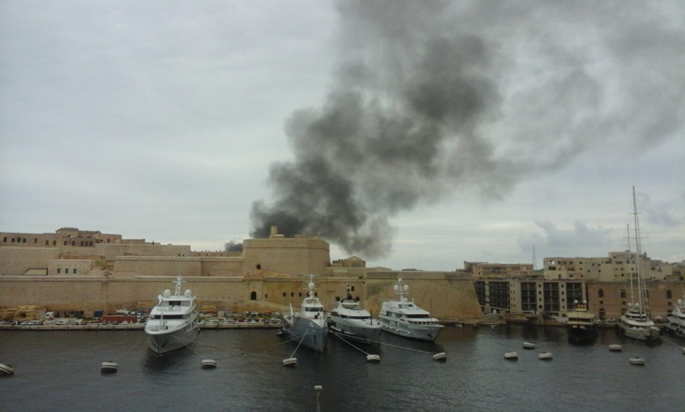 Ritratt tad-daħna mill-Isla 