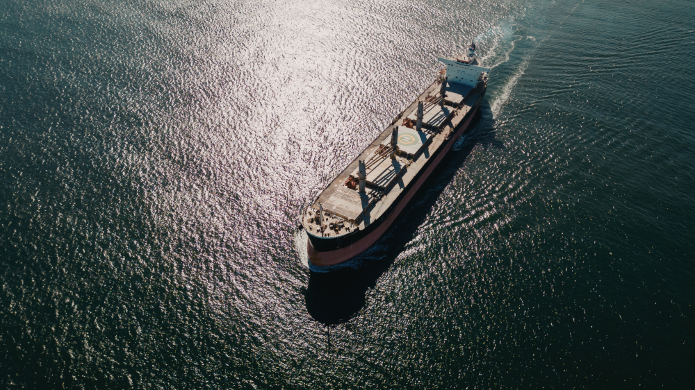 Il-PN jikkundanna l-attakki fuq bastimenti kummerċjali tat-tbaħħir