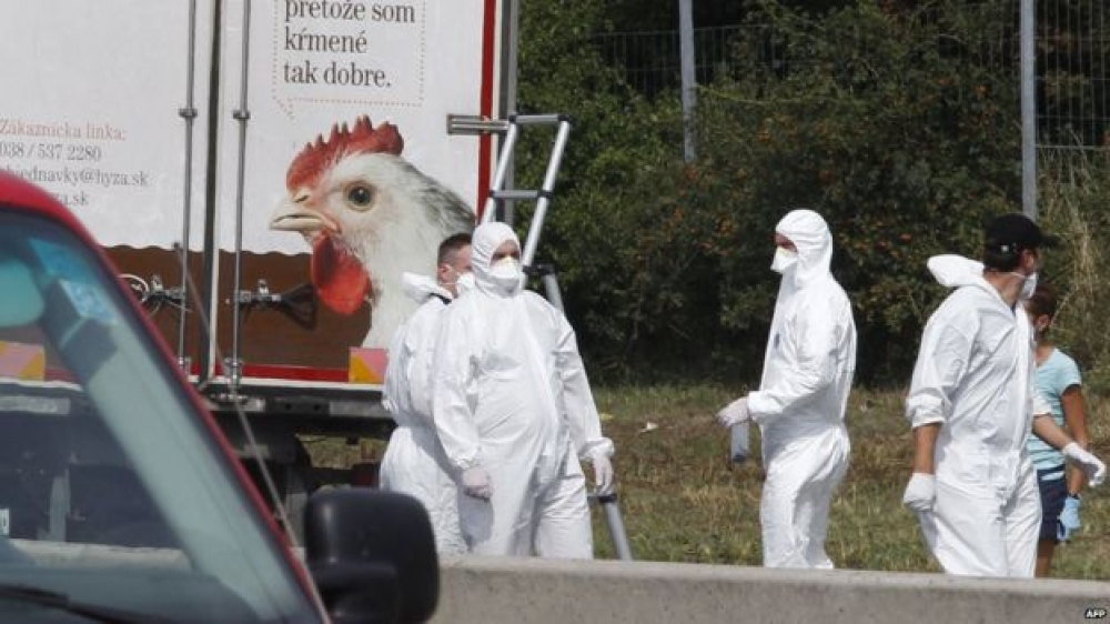 It-trukk li kien mimli katavri ta' persuni mejtin bil-membri tal-Forensika ħdejh
