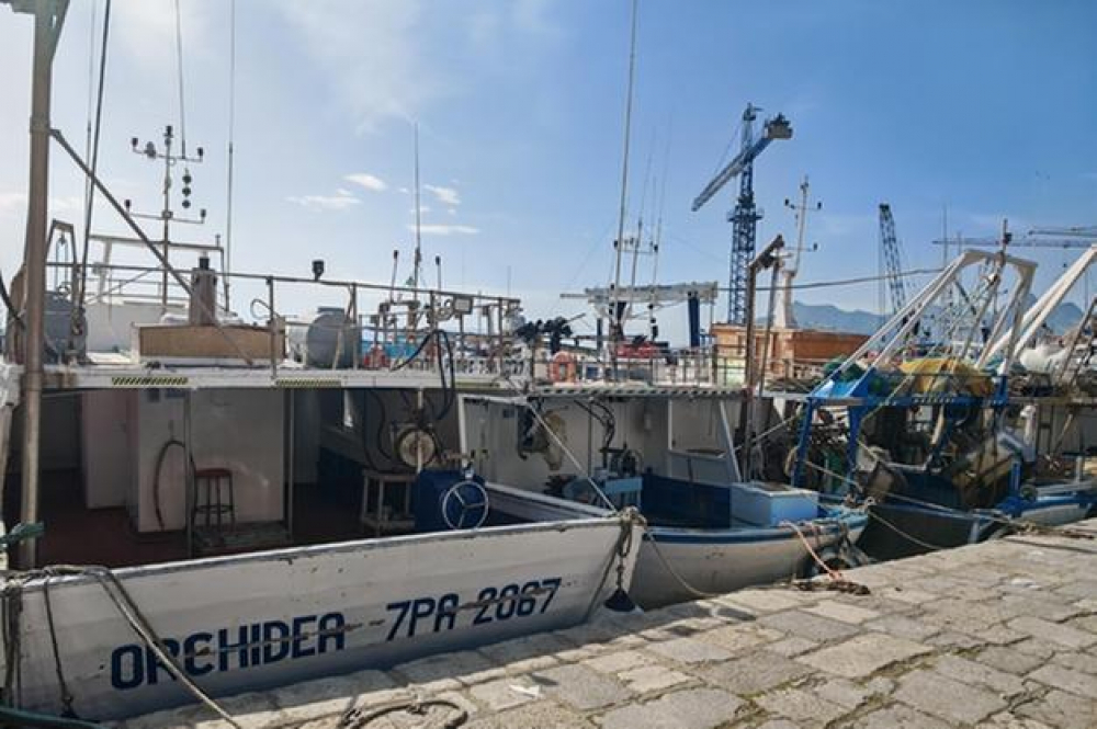 Sajjieda Sqallin jheddu li jibdlu l-bandiera Taljana għal waħda Maltija