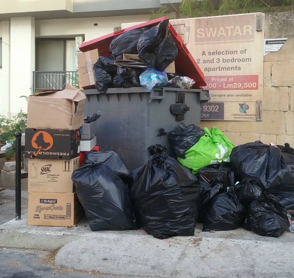 Il-bring in site tinsab fl-għeqqel tas-sajf fost dubbien u ġrieden li qed jinġabru fil-madwar kawża tal-ħmieg