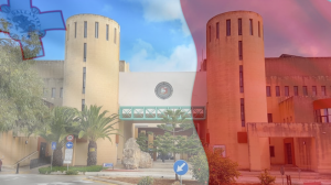 Il-lingwa fl-edukazzjoni