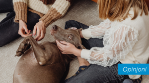 Kif l-annimali domestiċi jgħinu jegħlbu s-solitudni