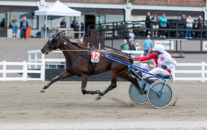 Kritika qawwija dwar il-kundizzjoni tal-korsa u dewmien fil-premjijiet fil-Malta Racing Club