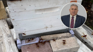 Il-Ministeru jgħid li l-pressjoni mill-bagħal taż-żunżan teħtieġ rispons usa’ u aktar koordinat