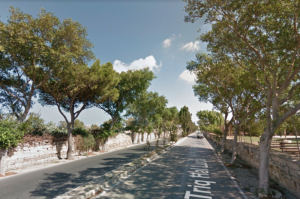 Kamp Emerġenza Ambjent mistennijin iħarrxu l-ġlieda favur is-siġar