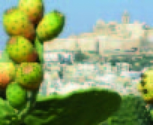 Kif jaħsbuha l-Għawdxin fuq il-Priority Boarding?