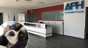 Familja tgħid li l-falliment fis-servizzi veterinarji wassal għall-mewt tal-kelba tagħhom